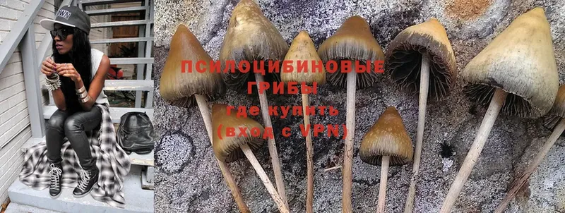 Галлюциногенные грибы MAGIC MUSHROOMS  Мценск 